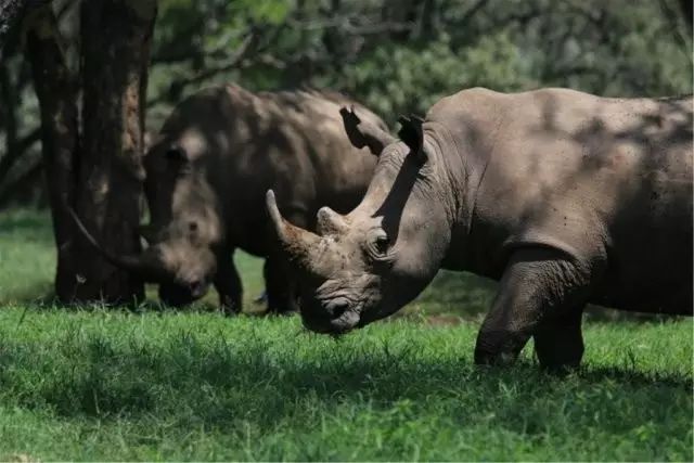 BLACKYAK牛人牛队｜登顶“非洲之巅”