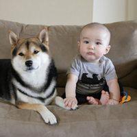 211旅游管理专业,211旅游管理专业毕业生现状