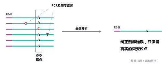 癌症检测与治疗又有新成果,癌症最新检测技术