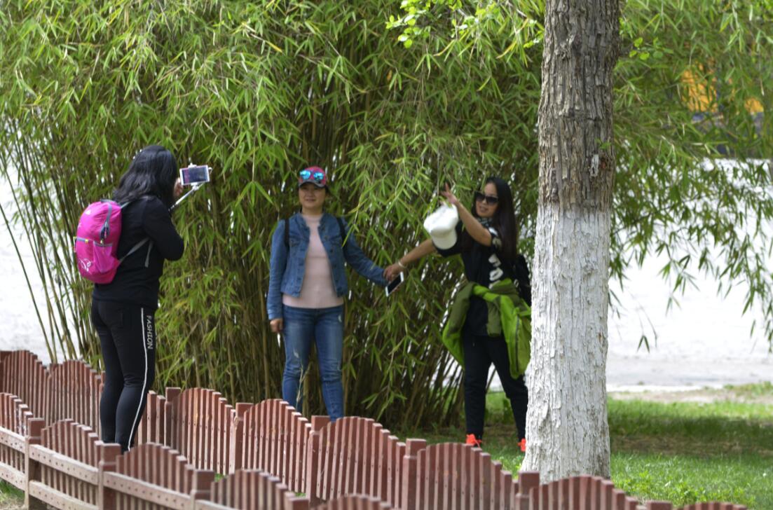 群芳争艳“宝贝园林”罗布林卡