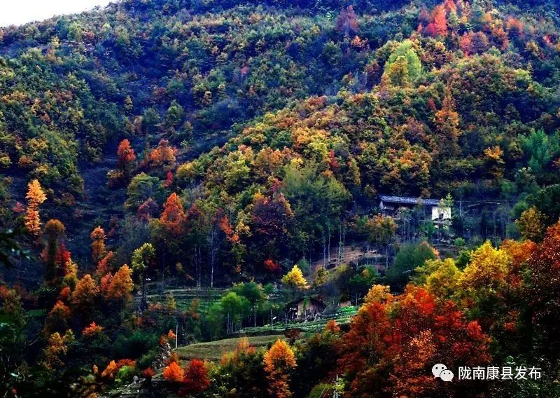 康县美丽的秋天,新县醉美秋景