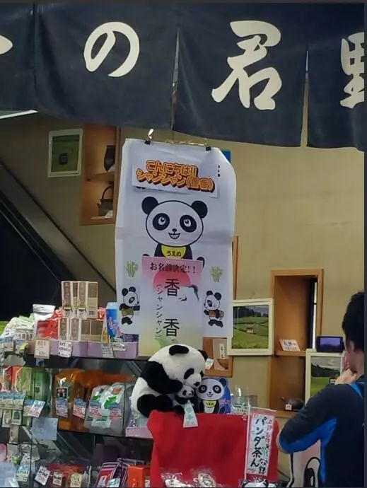 熊猫宝宝起名字是怎么由来的,2021年所有熊猫宝宝名字