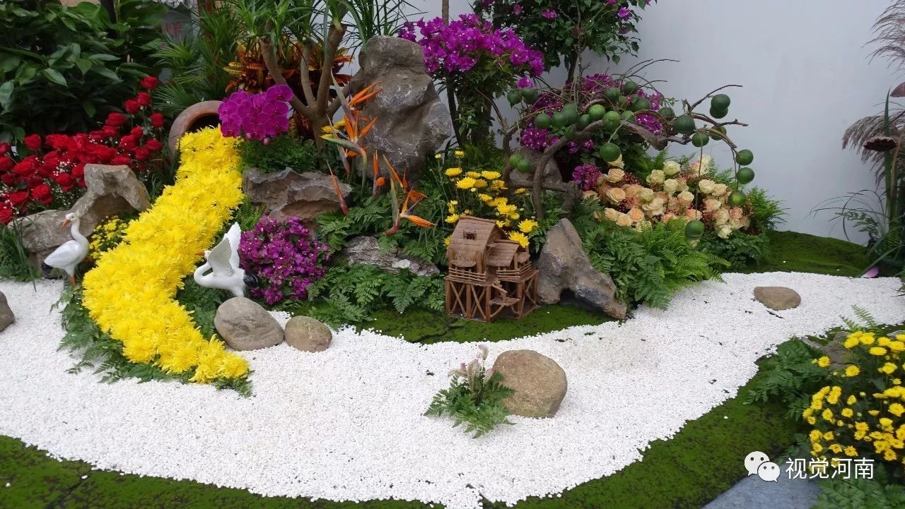 鄢陵2023花博会开幕式实况,河南许昌鄢陵花博会