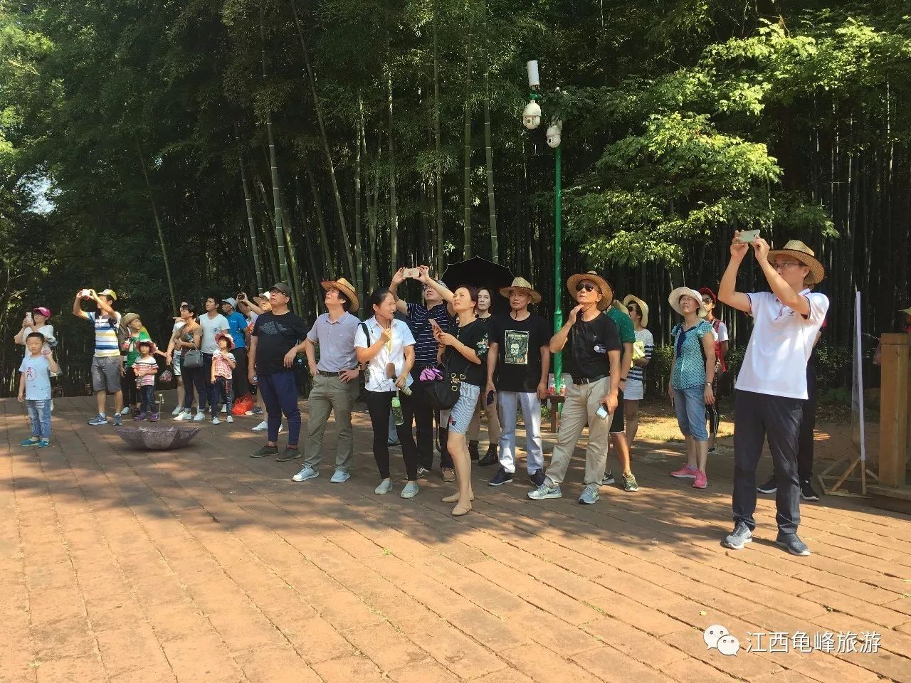 国庆十一特刊,国庆佳节特刊