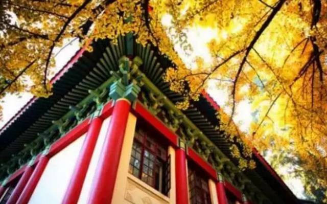 二百块钱玩南京一天,南京有哪些不要钱的游玩地方