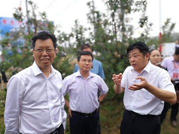 丰县苹果文化节,丰县文化节