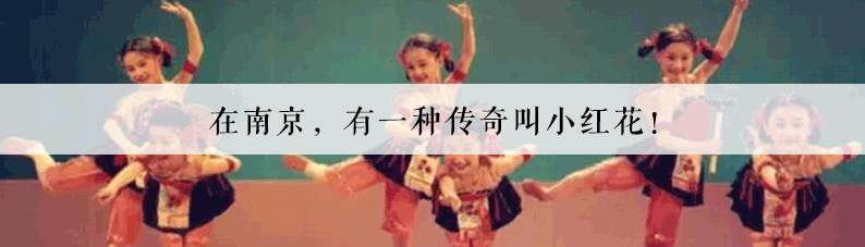 南京有玄武湖区吗,南京玄武湖有多少人