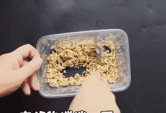 家里有老鼠怎么办快速灭鼠的方法,自制灭老鼠最有效又简单的方法