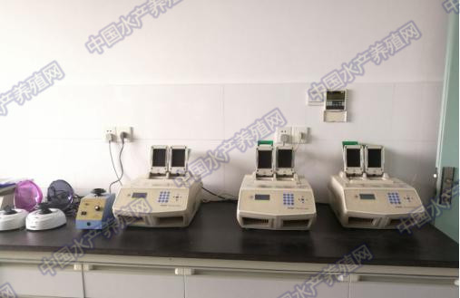 畜牧养殖动物常见疾病及控制措施,水产养殖中应激的危害及应对措施