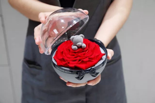 roseonly新品发布会在哪个城市,郑州roseonly专柜