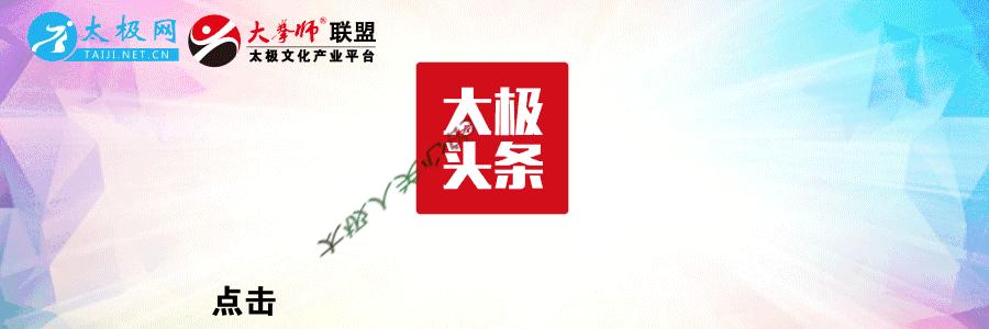 马虹的太极拳正宗吗,马虹80岁太极拳