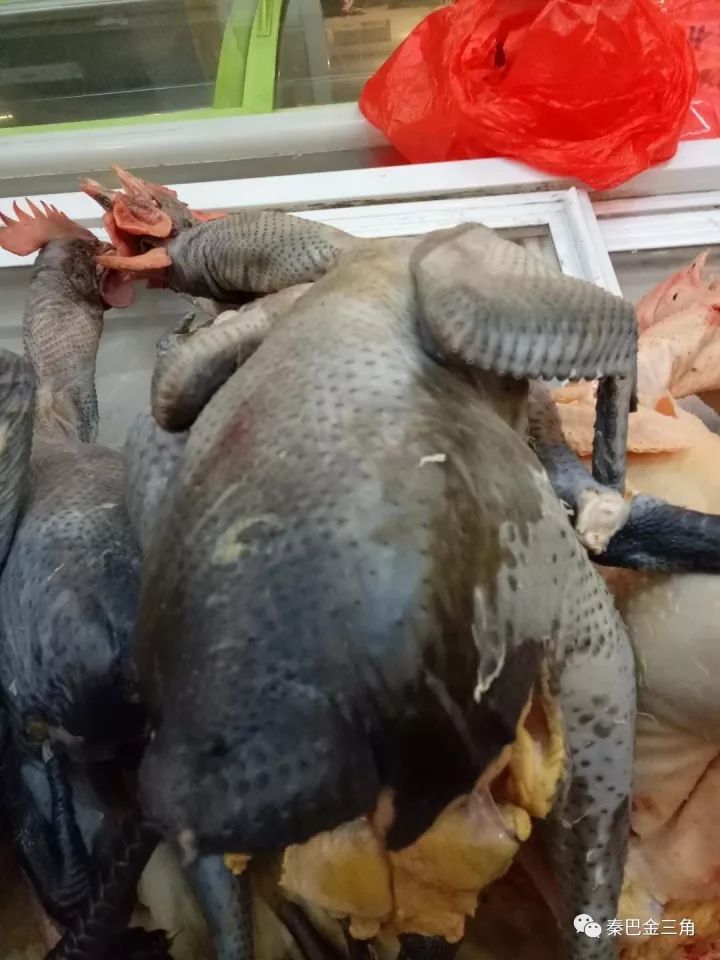 第一次来星级酒店觉得自己老土,星级酒店好进么