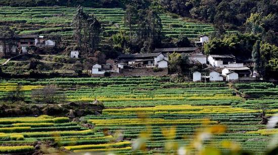大家好，给大家介绍一下，这里是云南禄劝
