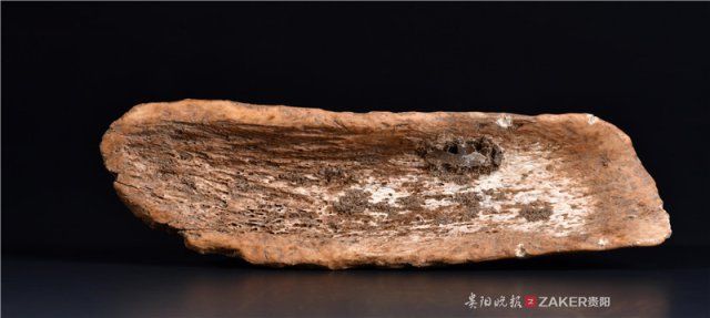 考古发掘的珍宝,贵州发现的重要文物