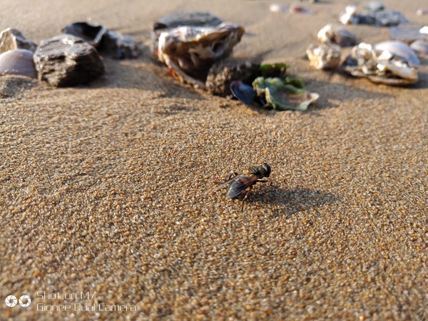 金立M7深度评测：满足你的“全面”需求