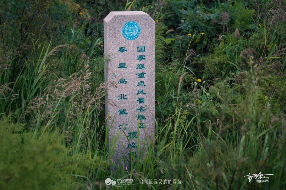 湿地观鸟自然体验,观鸟是一种宁静的心境