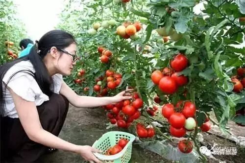 山东省淄博这个地方怎样,淄博第一个地级市