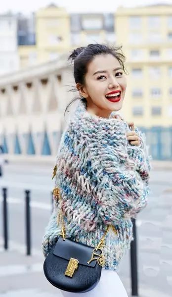 刘雯唐嫣同款小猪包,刘雯背的新款包是什么品牌