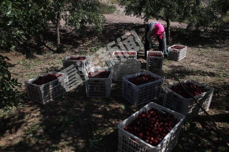 看法新闻2018,看法新闻简讯
