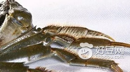 大闸蟹挑选小技巧,怎么挑选大闸蟹小妙招