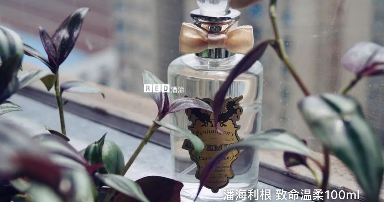 适合女士秋冬用的香水,20支秋冬香水大盘点下