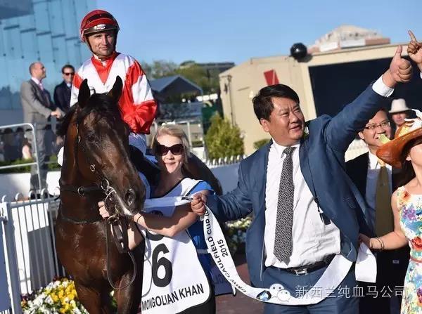 世界级马主郎林出资助力征战东京奥运！为何是莱德马业？