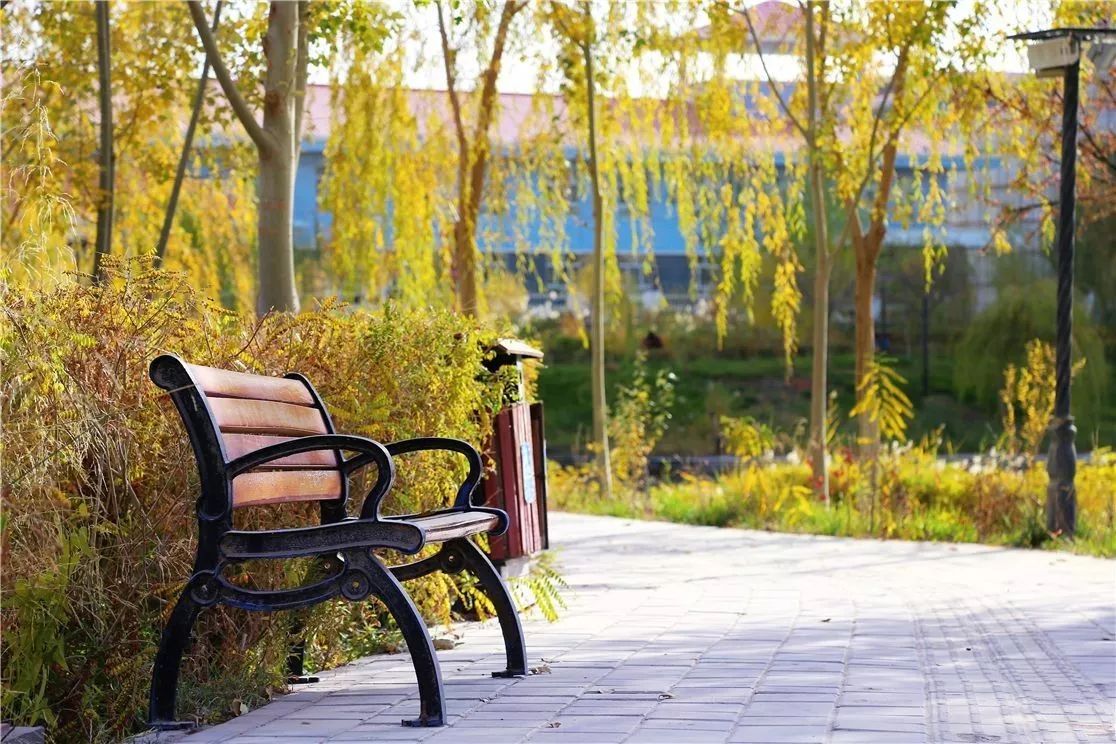 秋日里，有一抹乡愁叫且末！