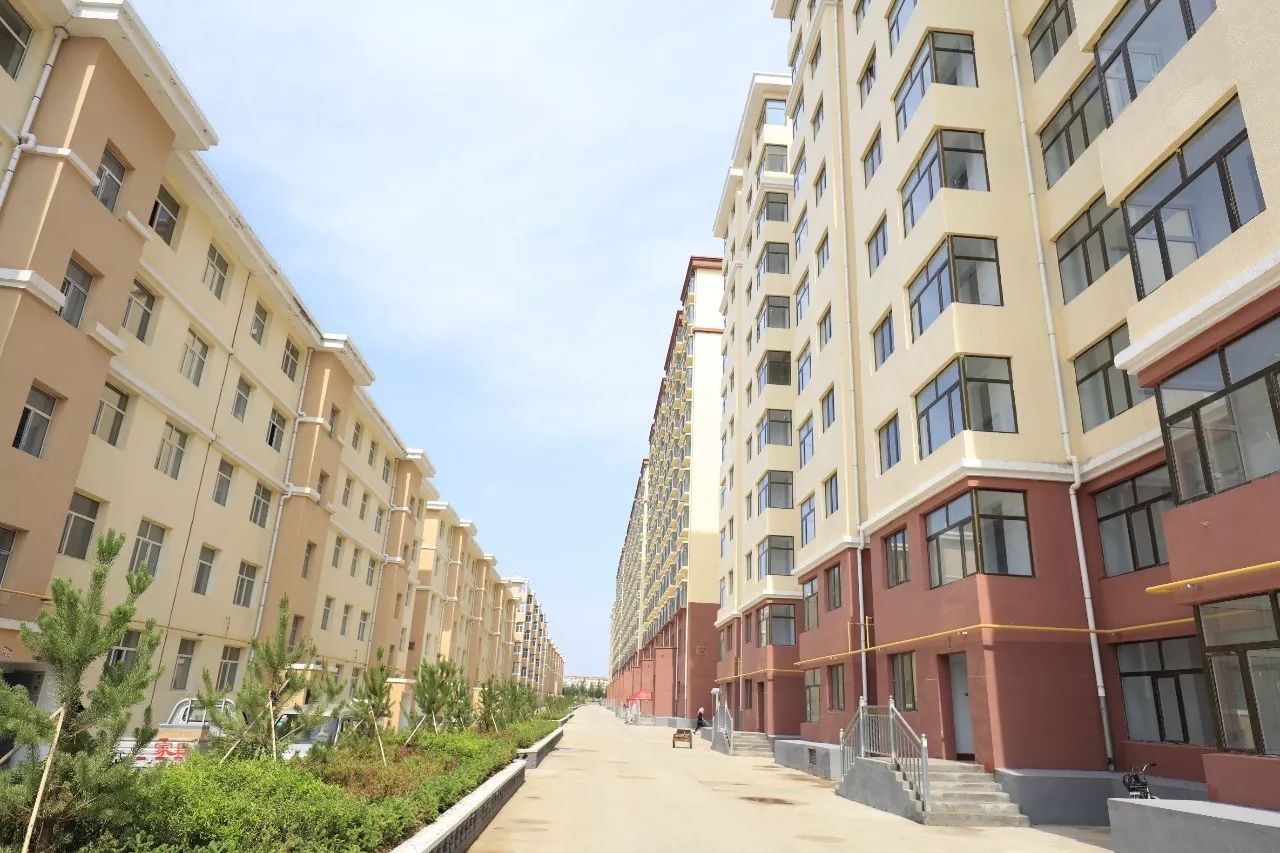 娲诲姏鏁欒偛寰佹枃,娲诲姏寰佹枃