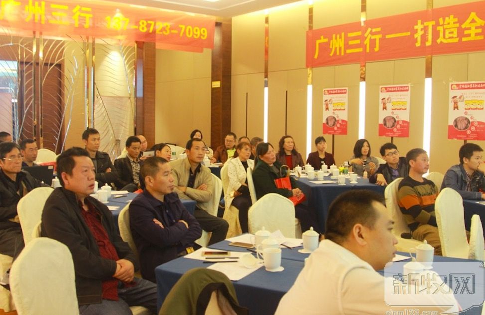 猪贫血最好的防治方法,地中海贫血最佳的解决办法