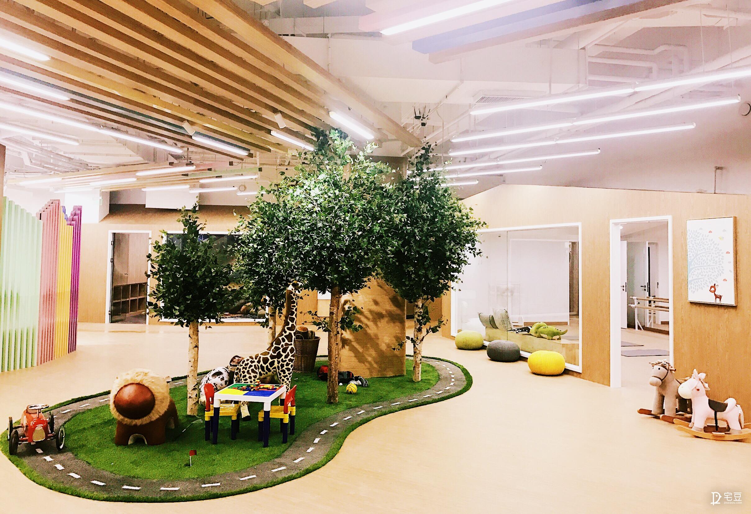 原始森林？动物园？银河系？托儿中心大改造