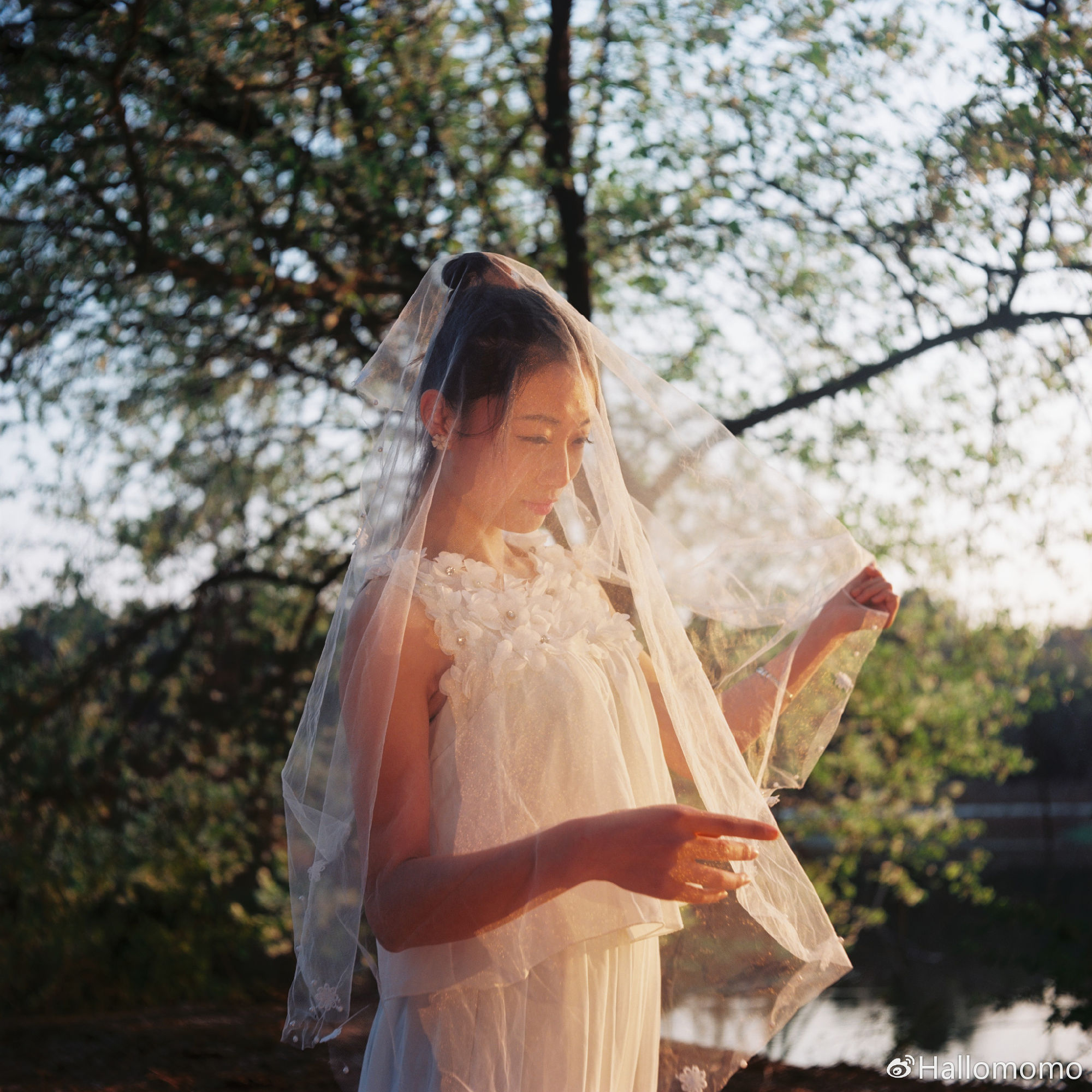 中画幅胶片机推荐,有哪些值得买的胶片机