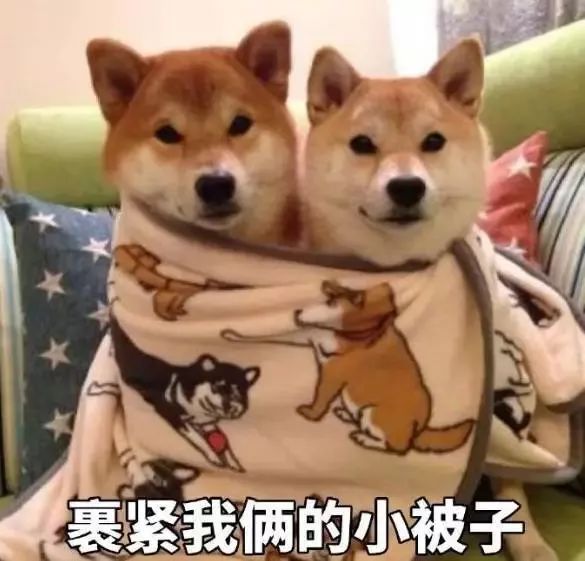 霜降季哪些疾病高发期,霜降到了要注意什么