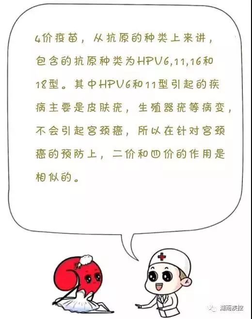 衡阳宫颈癌疫苗四价需要预约吗,衡阳哪里可以打宫颈癌疫苗