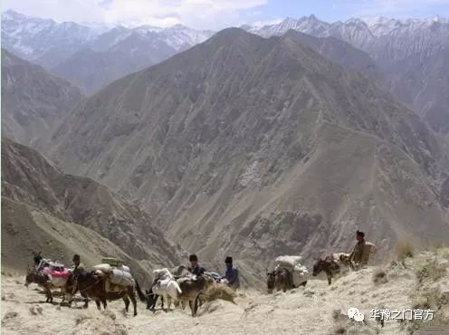 玉石籽料就是老料吗,玉石籽料都是哪里找来的