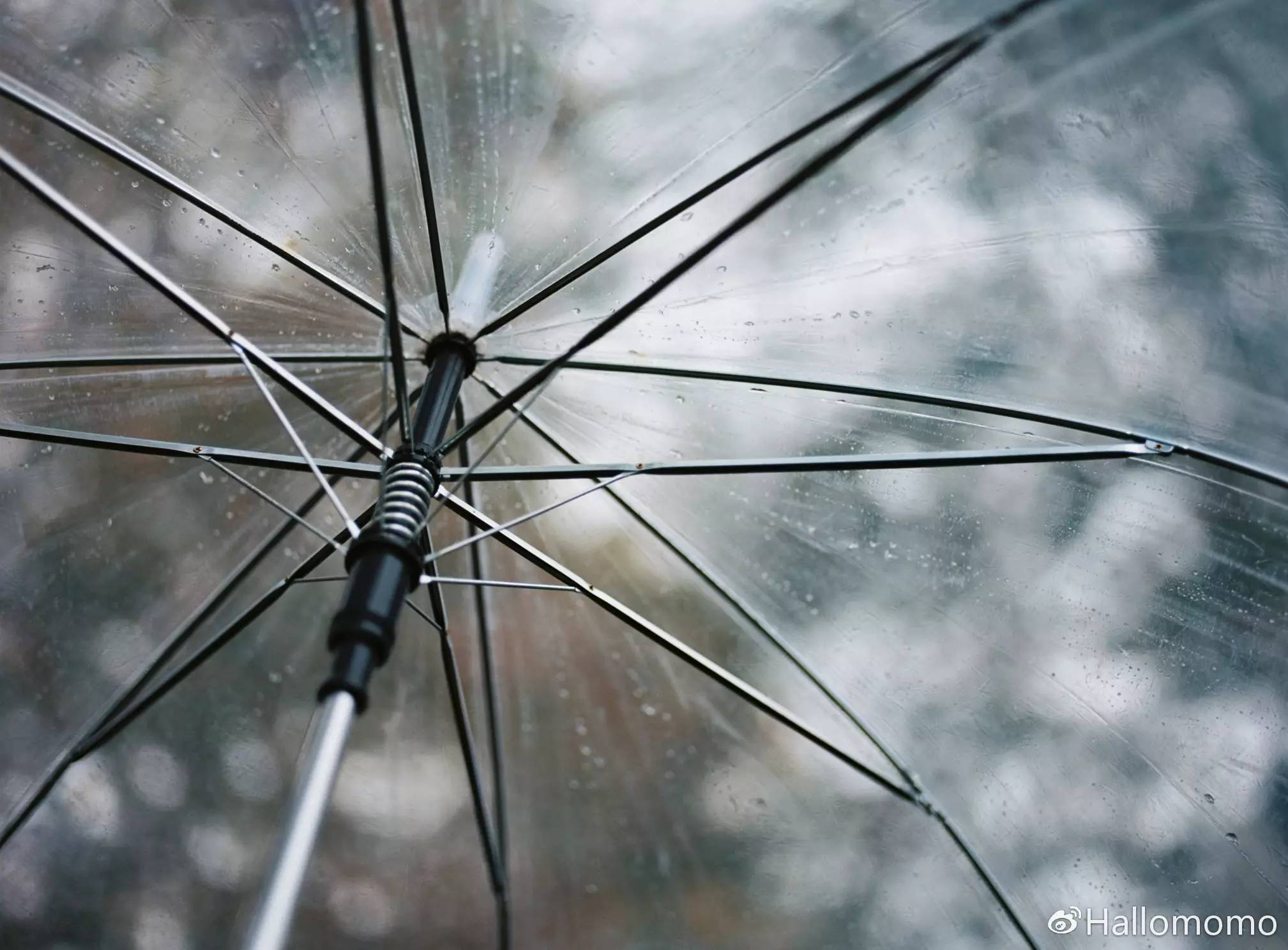 中画幅胶片机推荐,有哪些值得买的胶片机