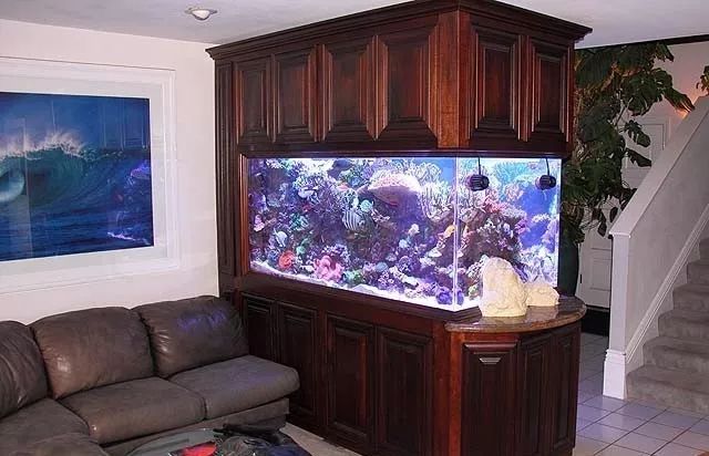 水管工人的美缸，美出新高度！