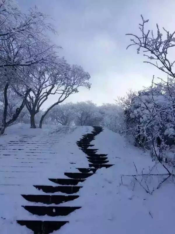 罗浮山泡温泉最好的地方在哪里,罗浮山绵州温泉简介