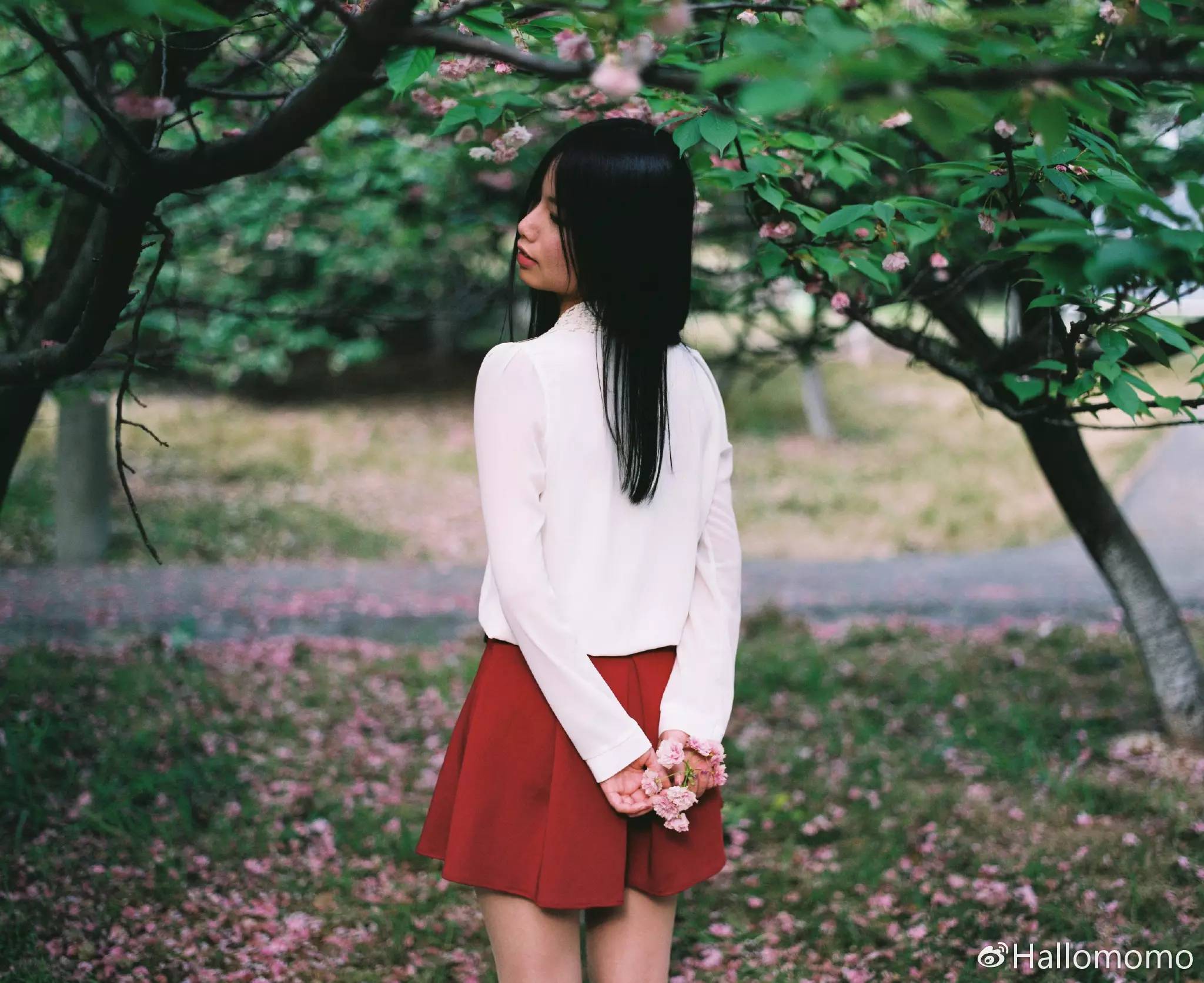 中画幅胶片机推荐,有哪些值得买的胶片机