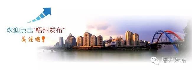 梧州足球赛事,球迷的幸福生活