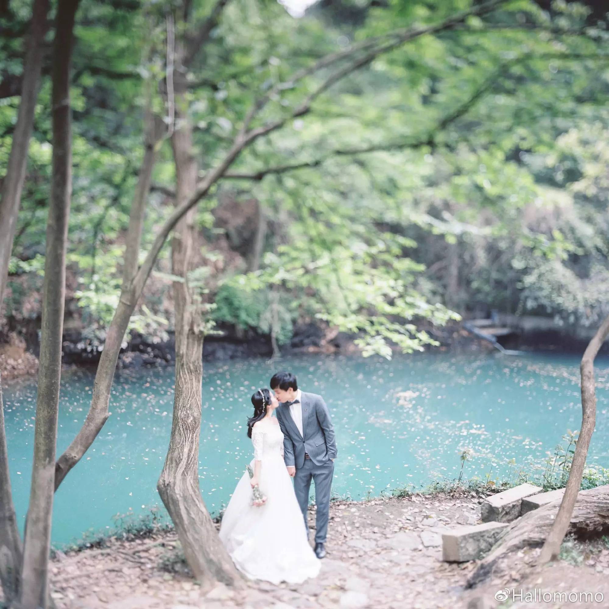 中画幅胶片机推荐,有哪些值得买的胶片机