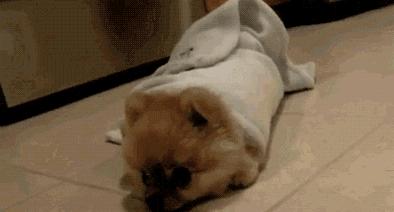 买床品都是纯棉价格为什么不同,同样一百支的床品为何价格差别大