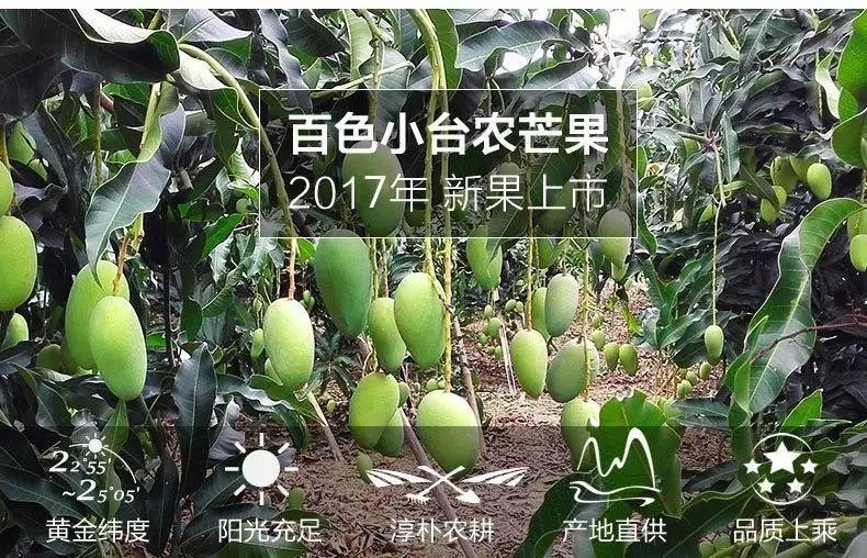 果园免费试吃大全,2019果园免费试吃