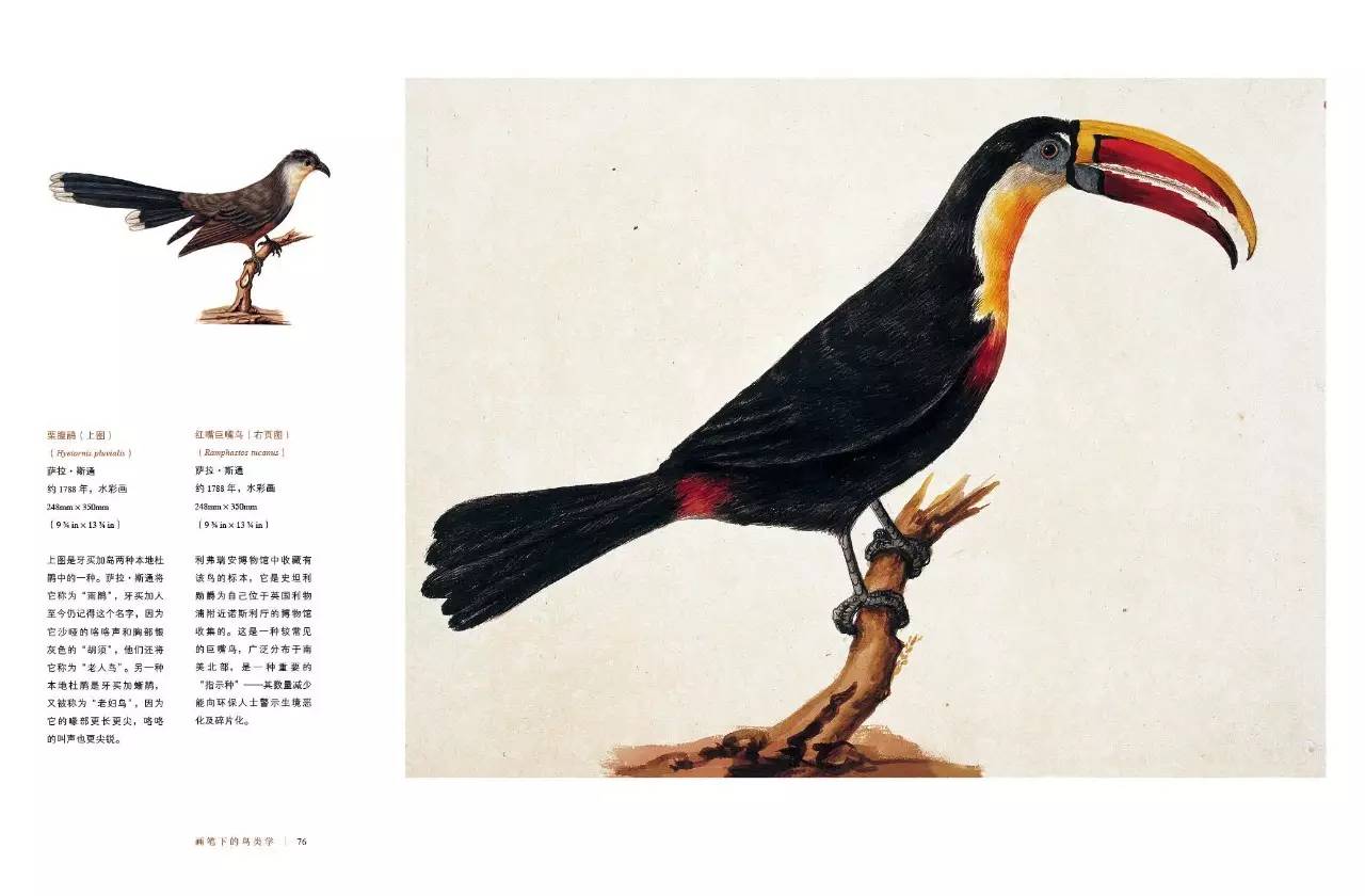 书籍人类的营养品莎士比亚,莎士比亚曾说书籍是人类的营养品