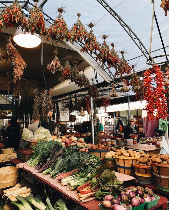 琛岃蛋鑹烘湳涔嬪煄钂欑壒鍒╁皵,钂欑壒鍒╁皵鍙ゅ煄