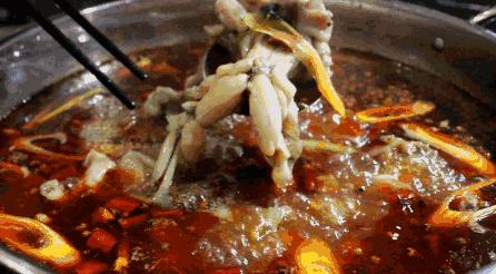 九鼎美蛙鱼头火锅广安平安大道,广安美蛙鱼头免费吃