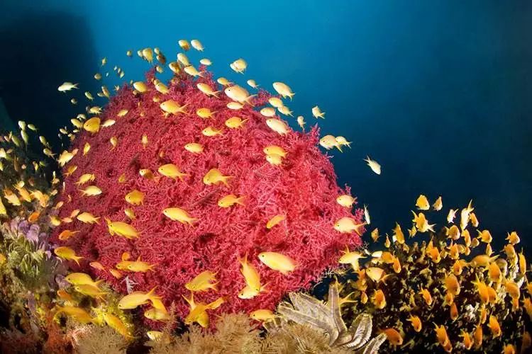 菲律宾最接近天堂的地方,菲律宾最值得去的地方