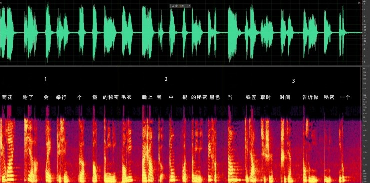 声纹识别怎么看,声纹识别最好的方法