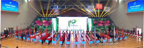 武汉第十届市运会,武汉市第十届运动会