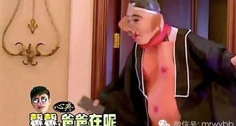 雷佳音沈腾刘烨都是东北哪里,雷佳音刘烨完整版