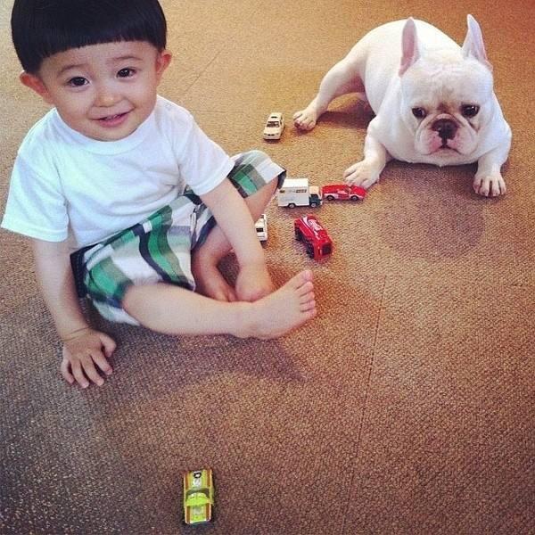 备孕可养狗狗吗,想备孕能养狗狗吗